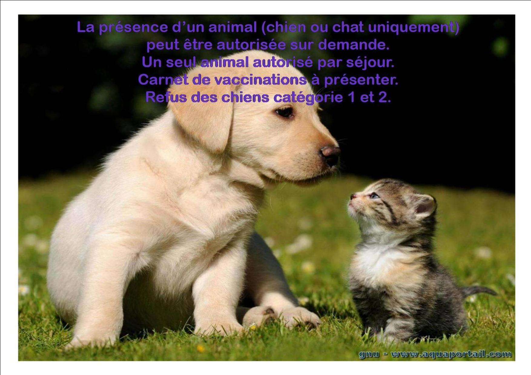 Le Gite Du Frene Poses Esterno foto
